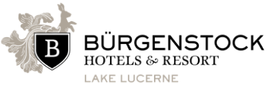 Elegant emblem with a shield and map outline in gray tones, inspiring exclusivity for luxury travel in Lake Lucerne.